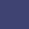 CCS Black Kickflip Buckle Belt - Navy - Image 6